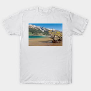 Lake Wakatipu T-Shirt